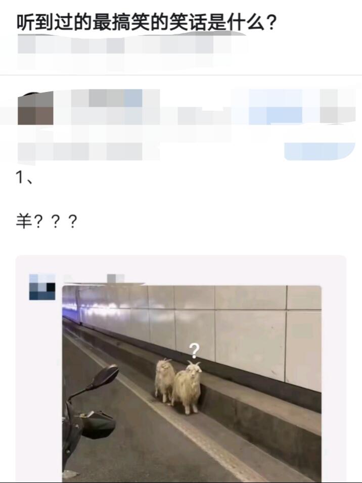 听到过最搞笑的笑话是什么？