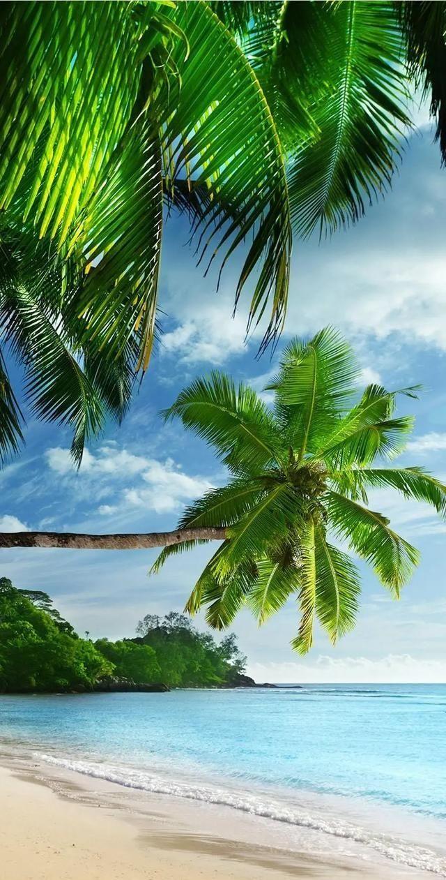 一位网友大骂：你信不信大街上有一半儿的人都不想活了，只不过是因为还有牵挂，或者说