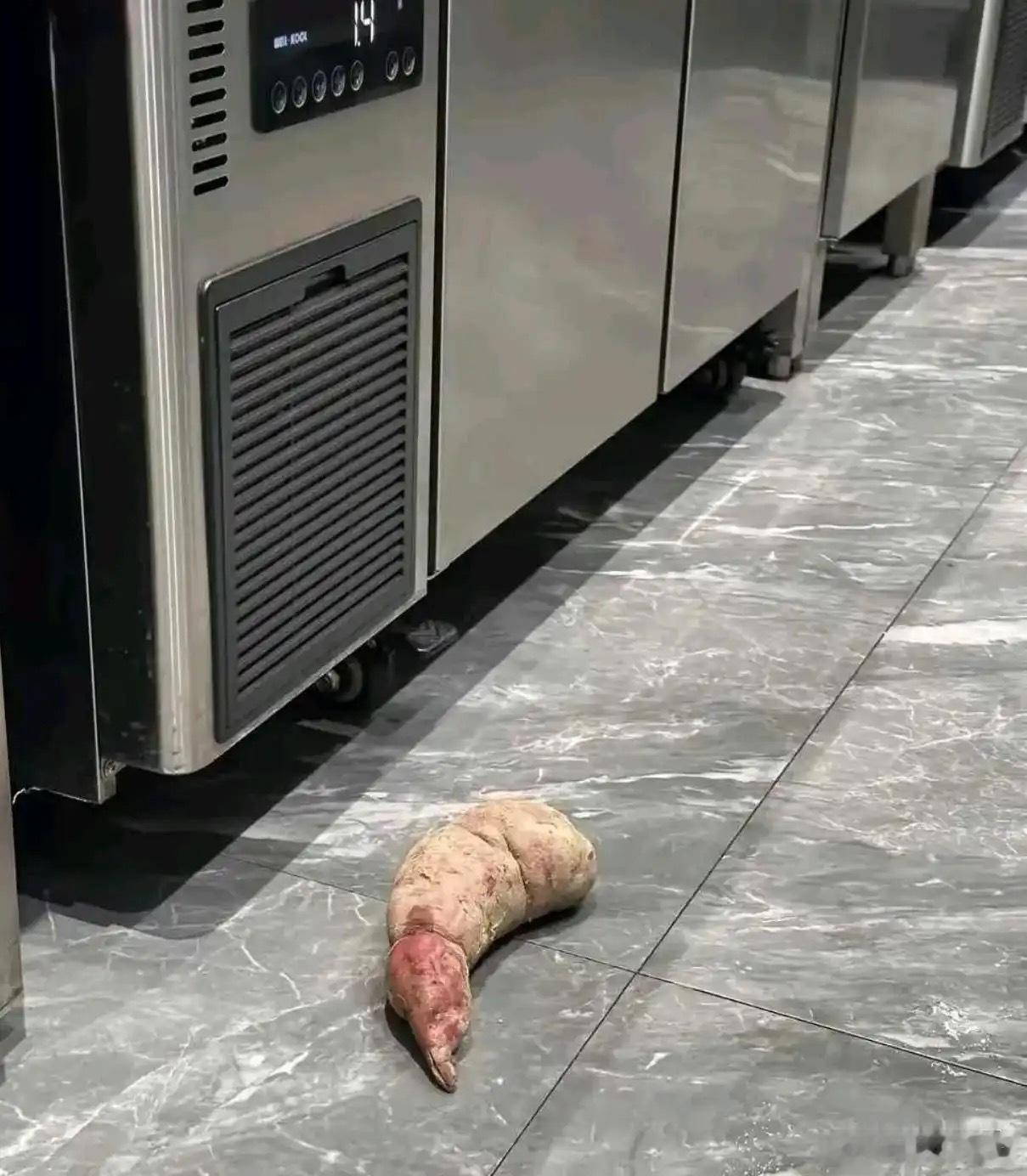 不小心被它咬到了，该怎么办？