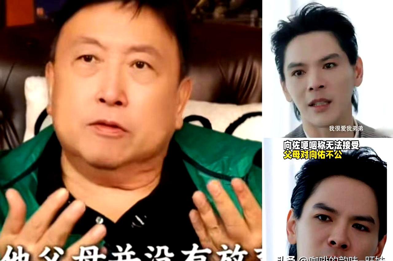 这阵子王晶聊港圈，点到向佐、向佑，话里有刺。小时候两个圆滚滚，一个不爱滑雪，另
