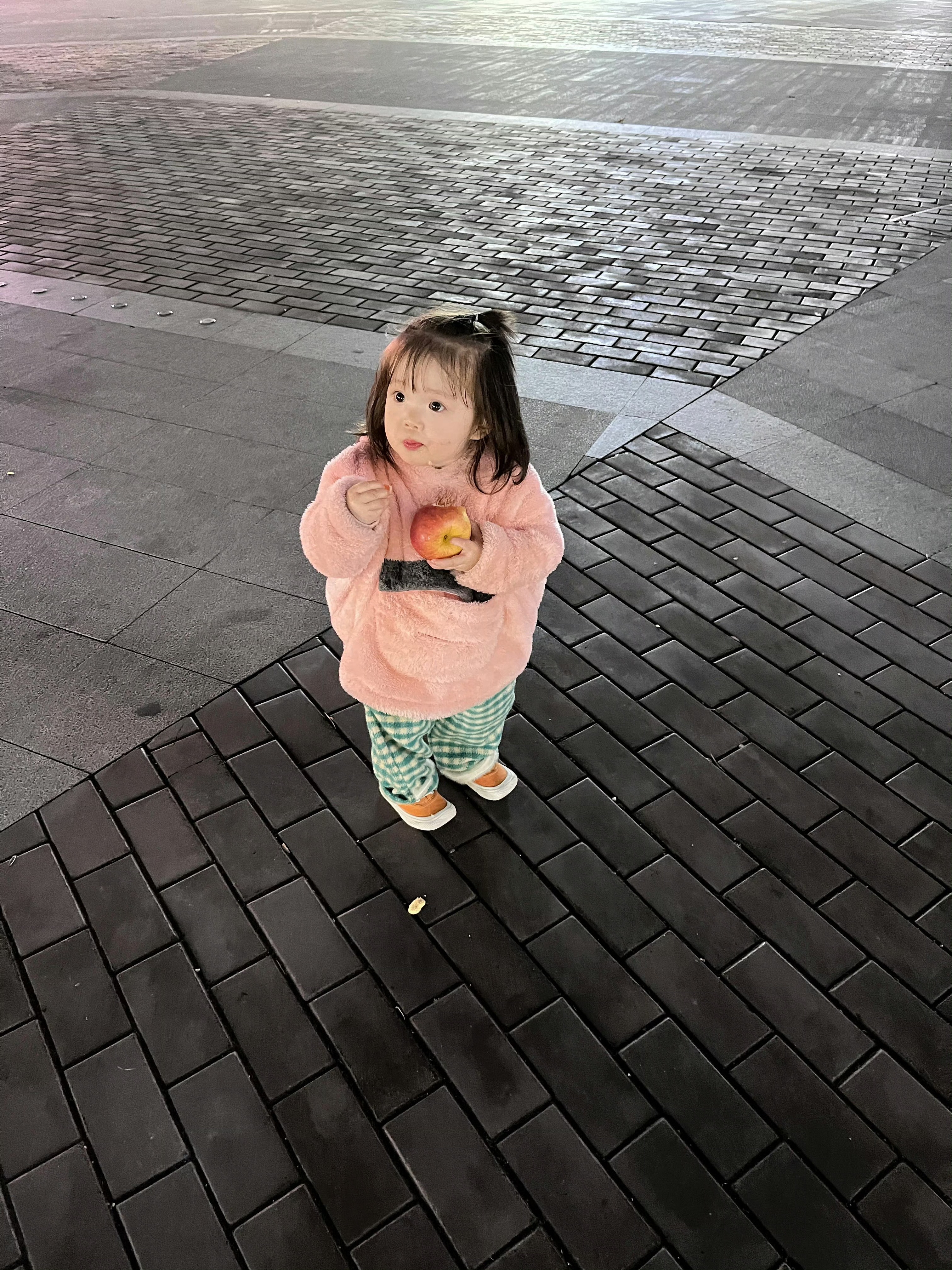 一颗肉丸子哈哈哈小鼻嘎时期