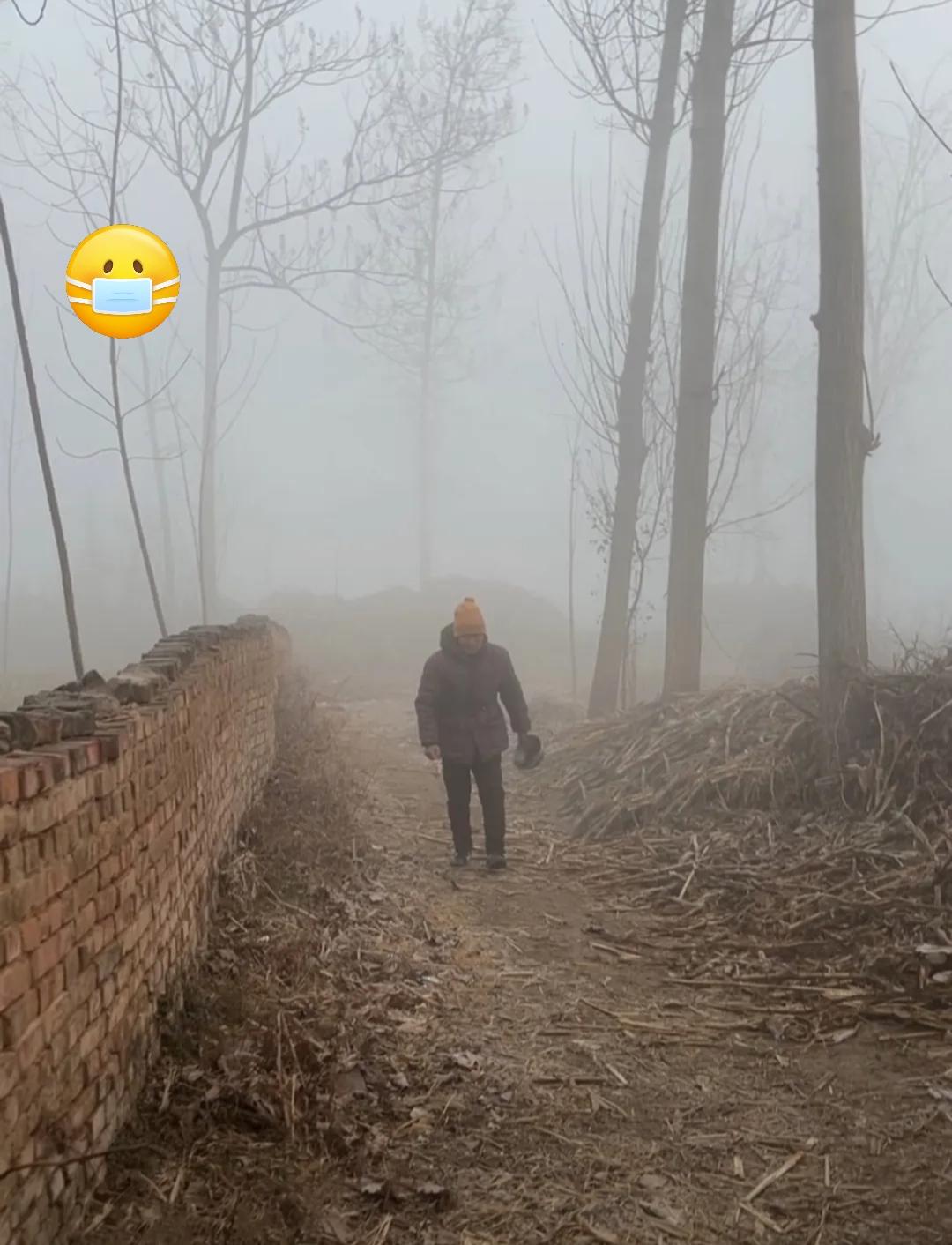 提醒大家一句请大家心理有个准备明天，也就是1月17号，就正式进入四九天了，一