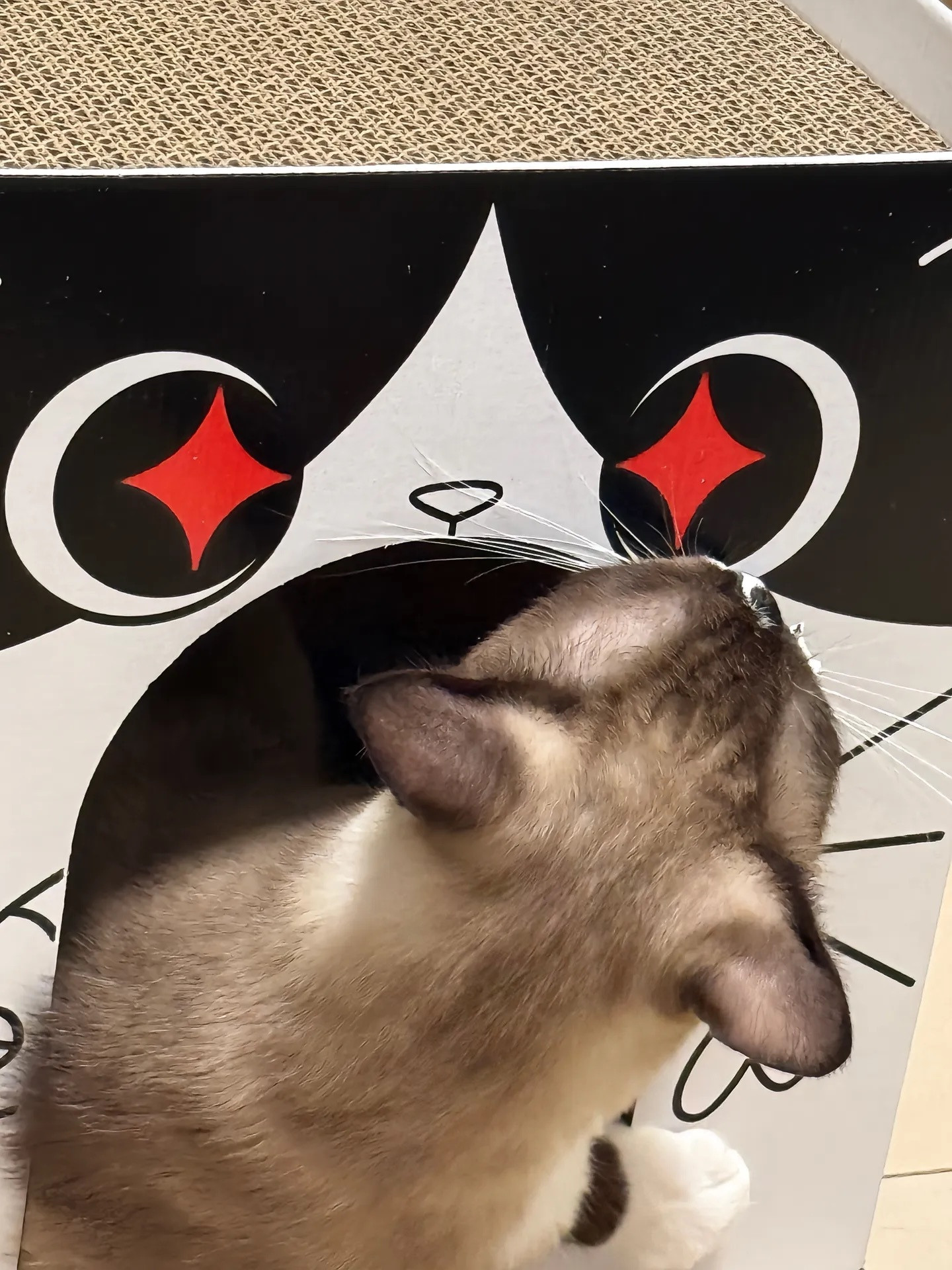 逻辑猫做事就是有逻辑