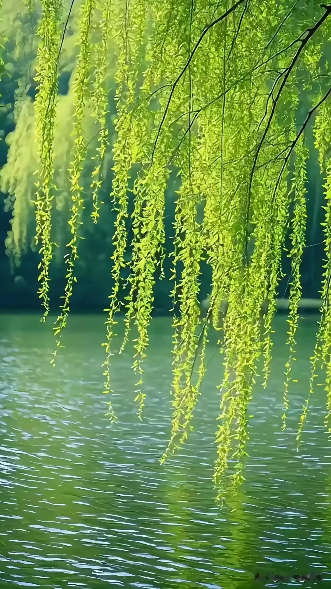 上联:暖阳微照花枝颤下联:和风轻拂柳絮飘横批:春意盎然