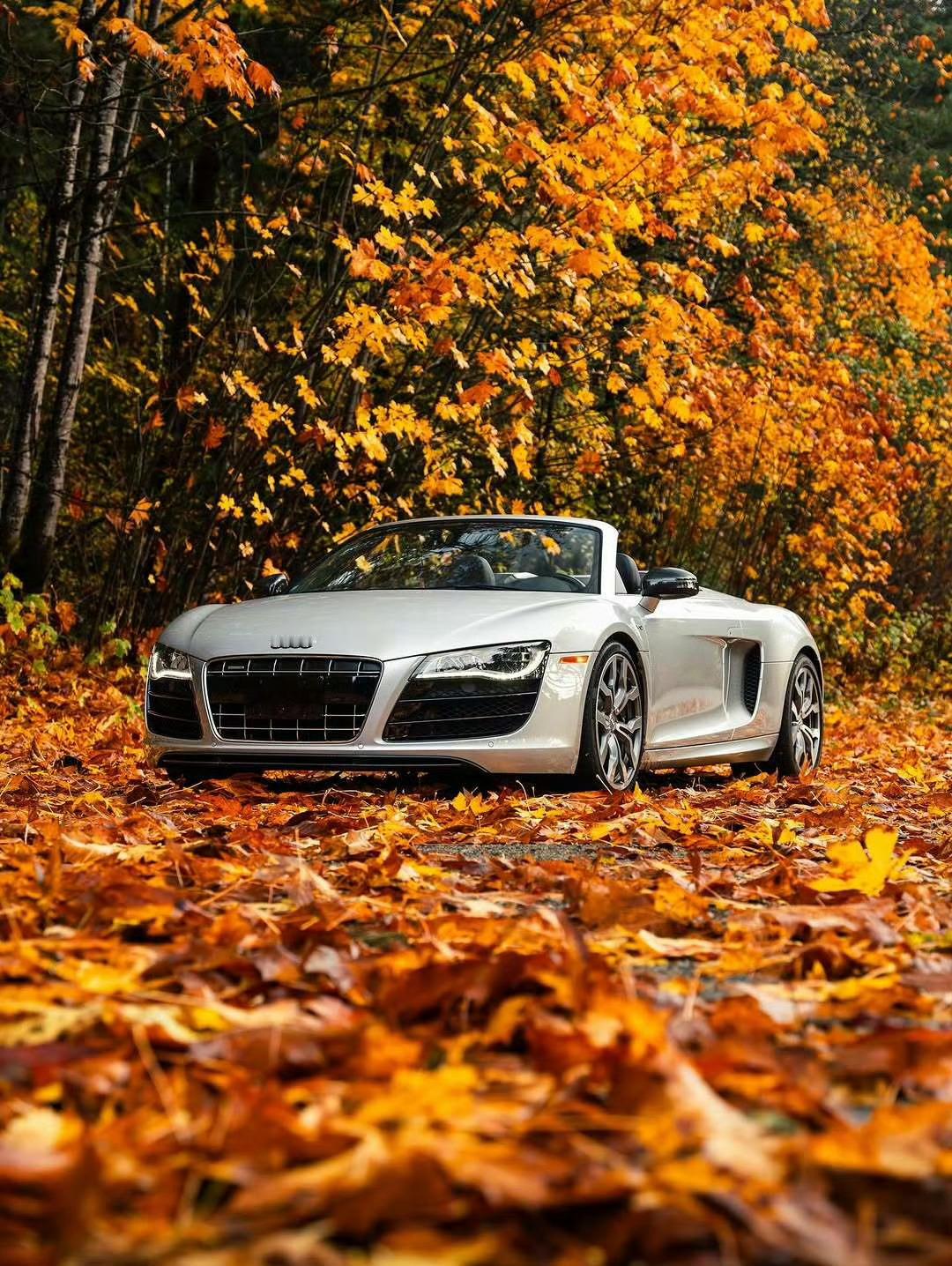 奥迪R8V10Spyder​​​🍁​​​