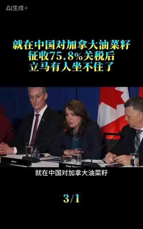 当中国商务部于2025年8月12日发布公告，宣布对原产于加拿大的进口