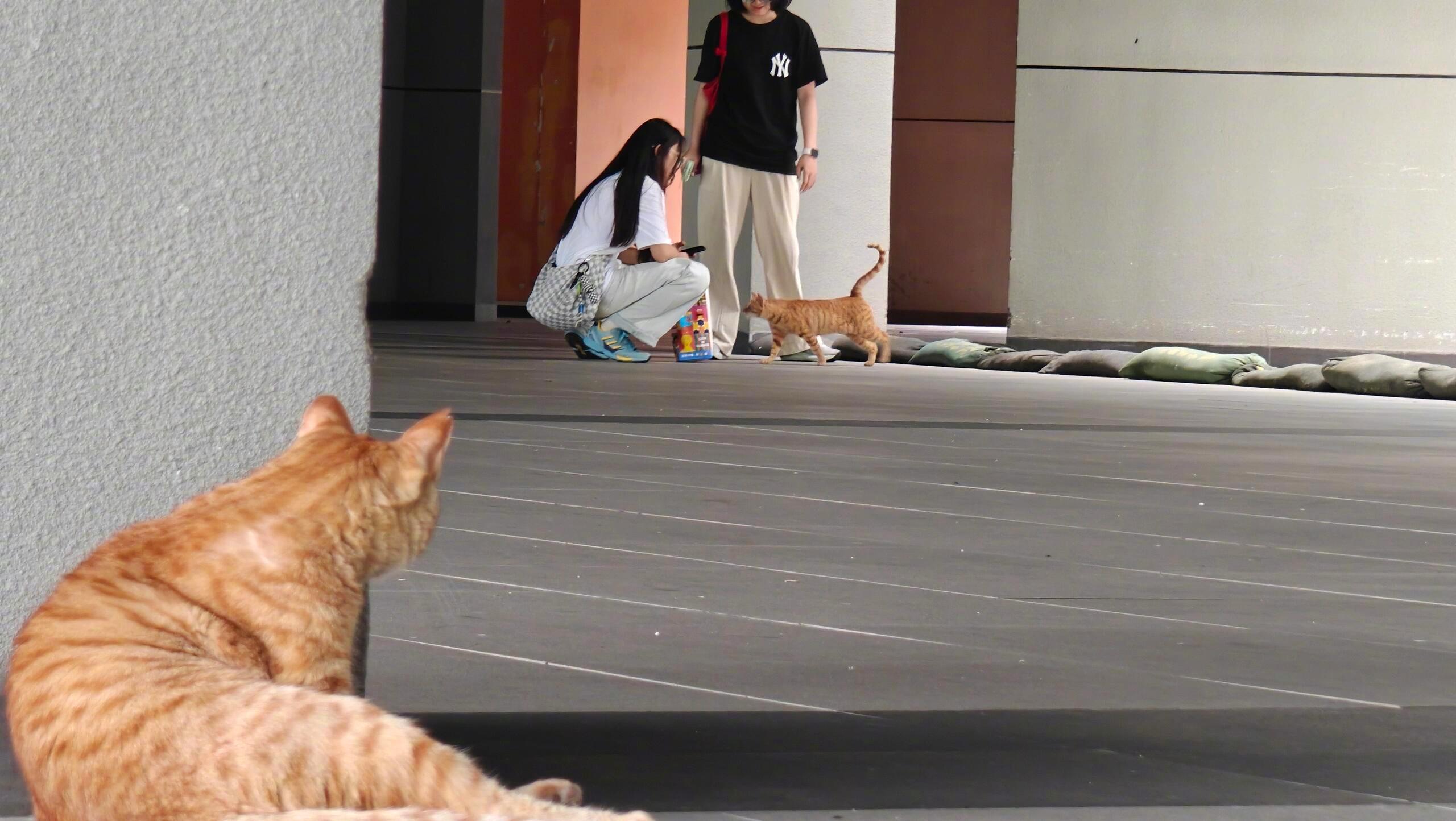 人所以爱会消失对嘛​​​