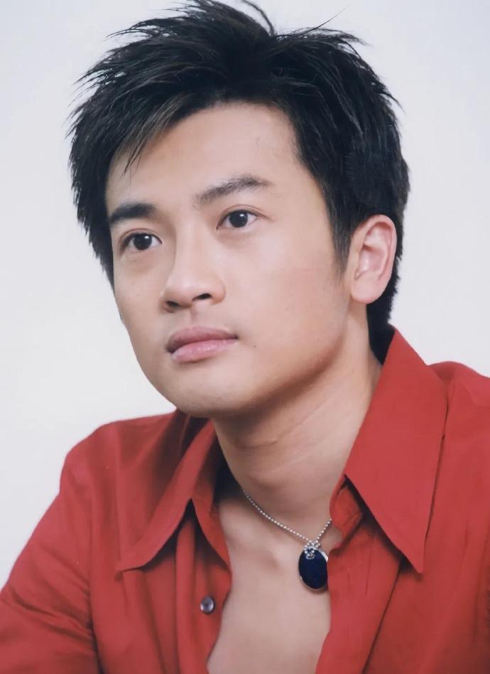 苏有朋变得越来越不像之前的样子了。感觉快要不认识了。