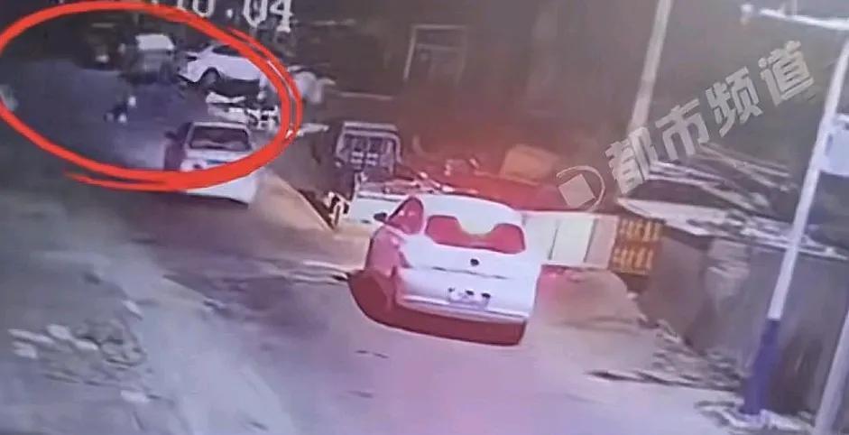 绝育手术失败，宠物医院开车把狗撞死后续，狗主人下架视频，知情人透露更多。近日，