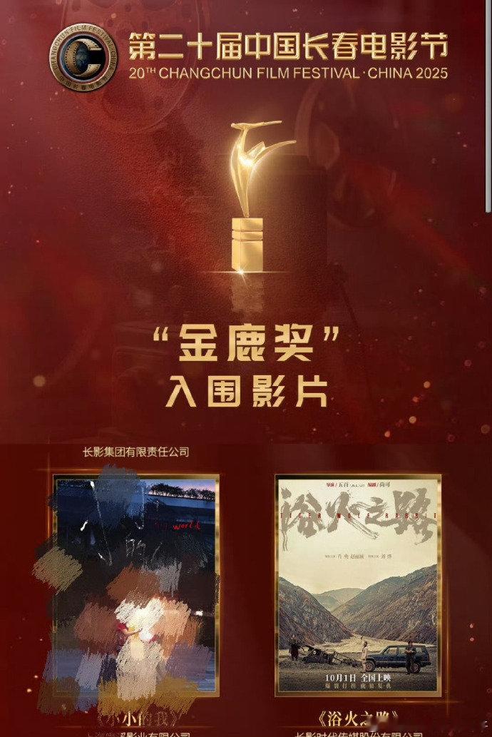 浴火之路入围金鹿奖赵丽颖在《浴火之路》中跳出舒适区，用扎实的表演诠释了“为母则
