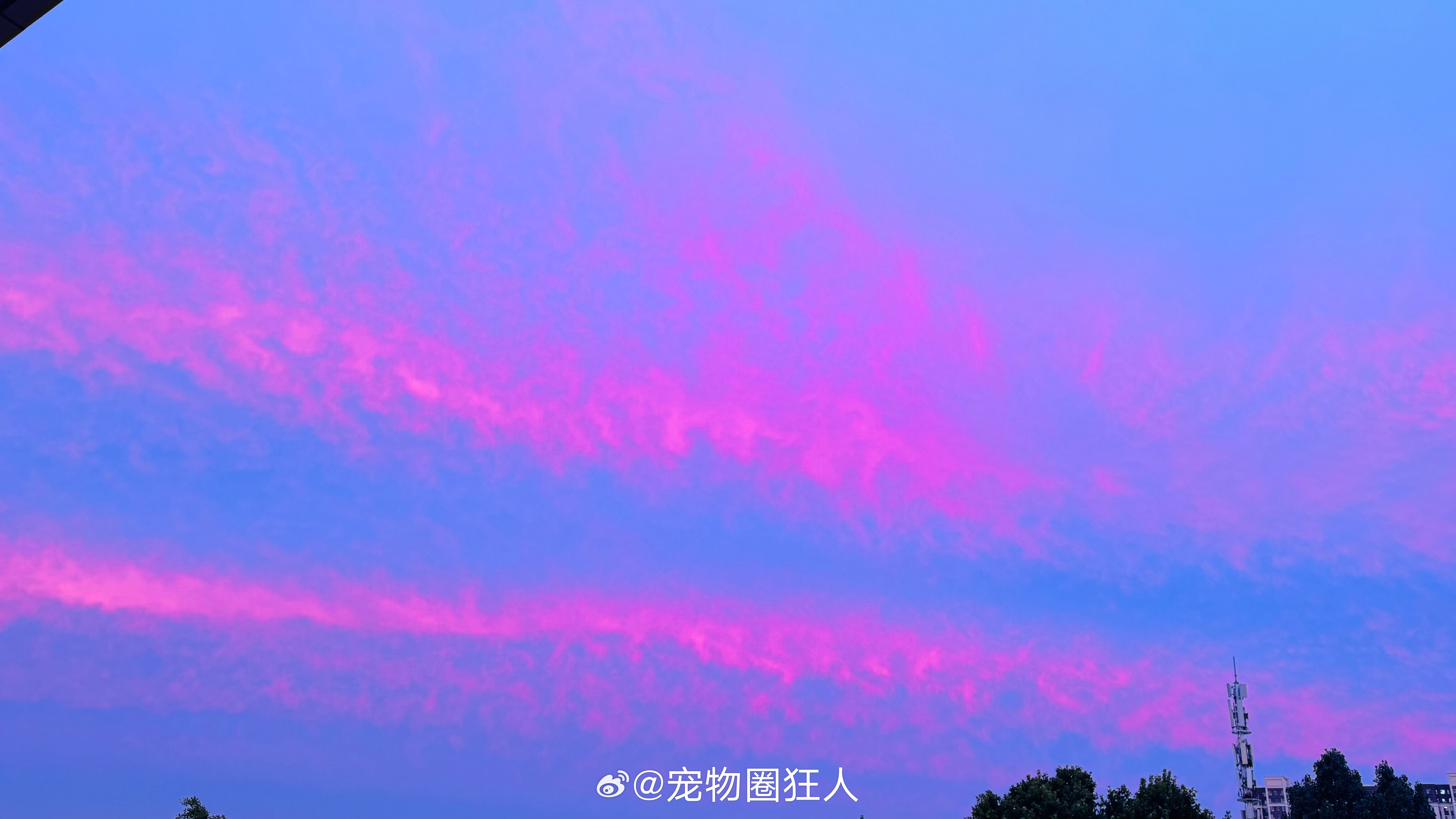 到了石家庄，天气真的好，不管是昨晚的火烧云，还是今晨的碧空如洗。前天发布后发现
