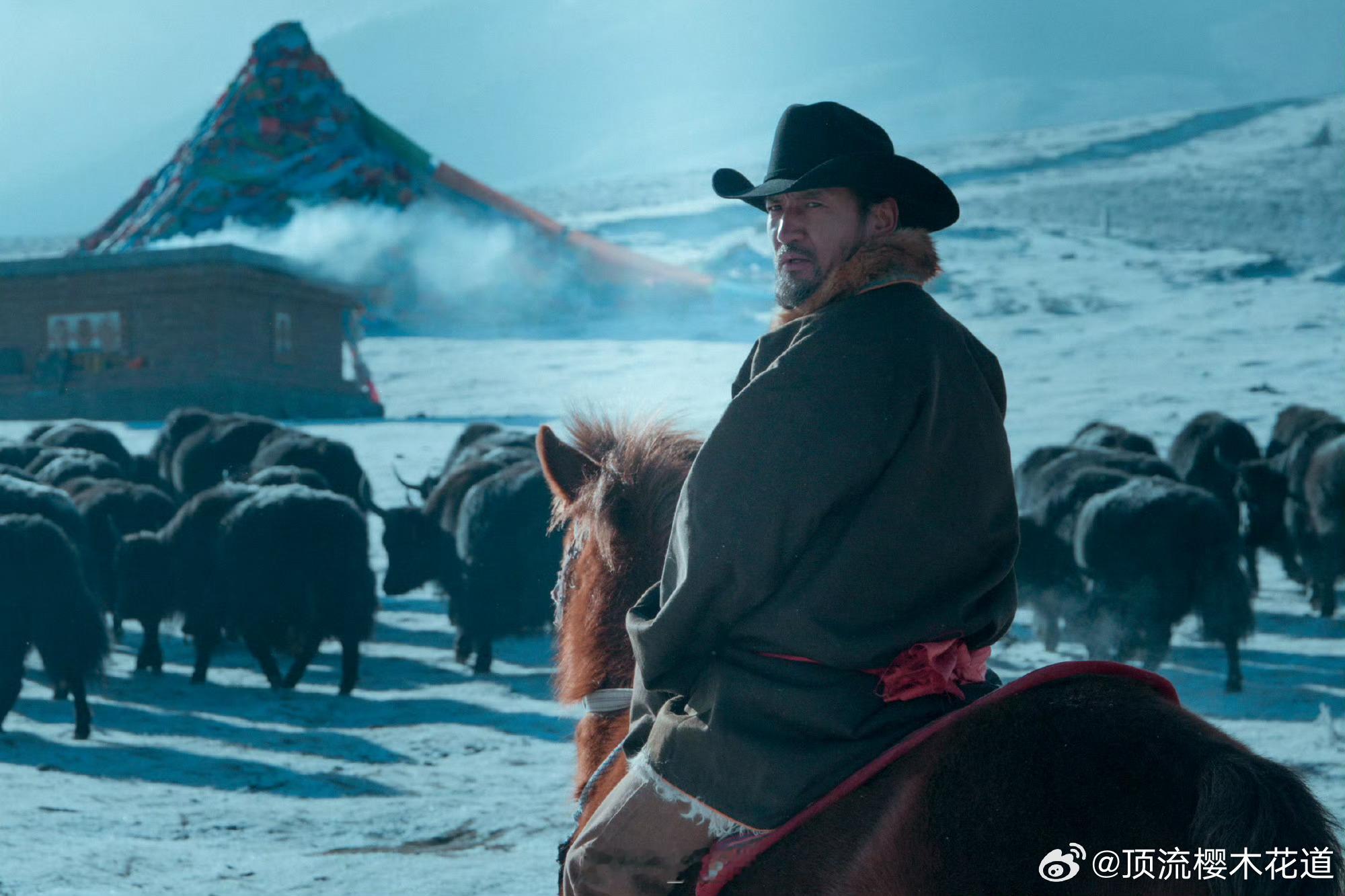 金巴过年回草原放牧真的不夸张的说，我也很想跟着他过年去放牛羊，可是我们没有牛没有