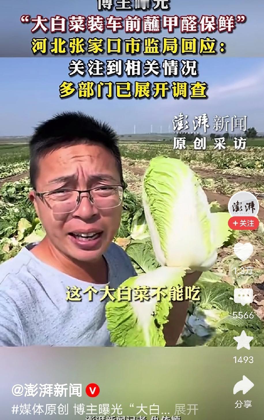 “这个大白菜不能吃，因为它可能会致癌！”一名博主对着镜头大声喊话，而他身后白菜地