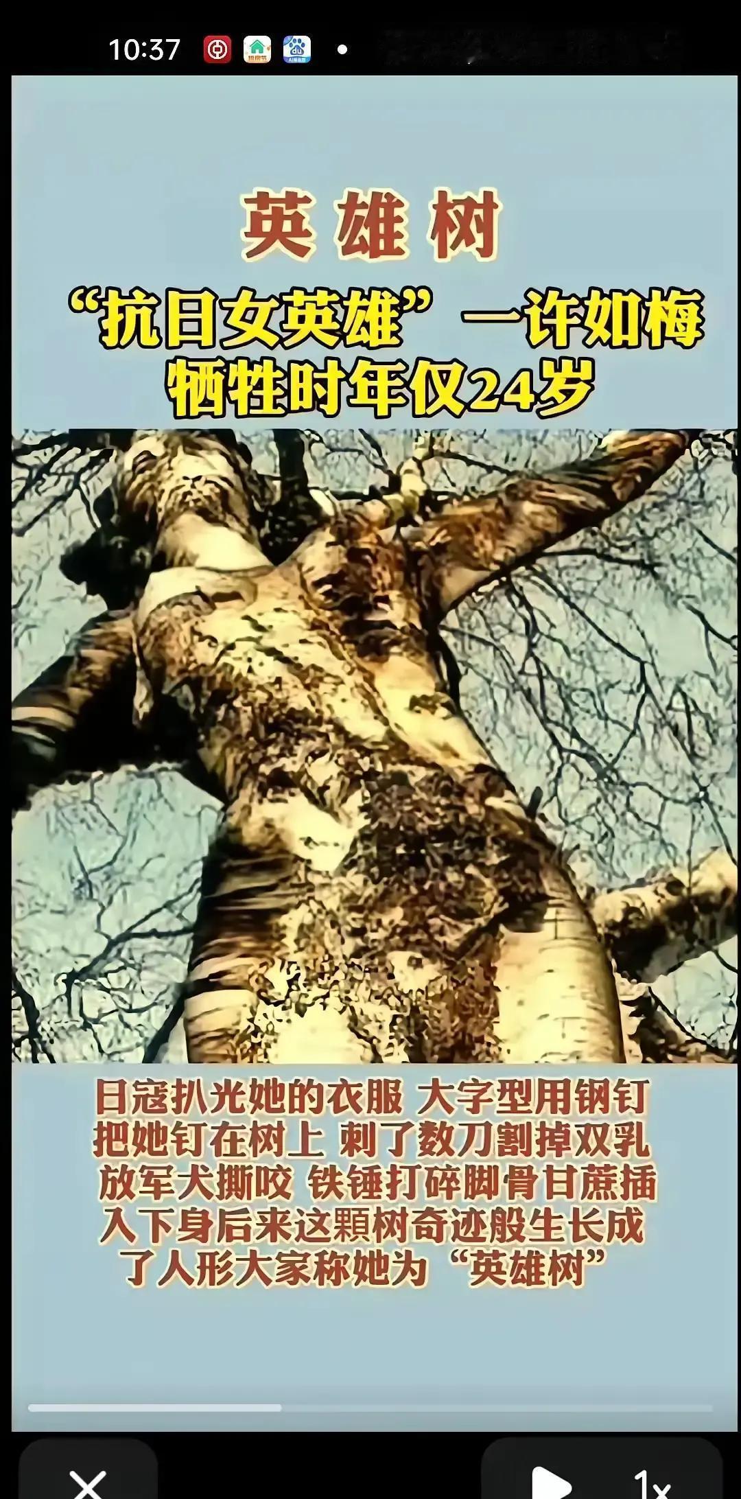 日军将许如梅绑到了一棵大树上并把她的衣服扒光，鬼子拿出刺刀割下了她的双乳，还用甘
