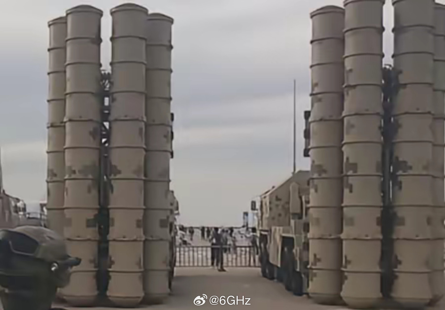 北方的竹子怎么长这样子？？​​​