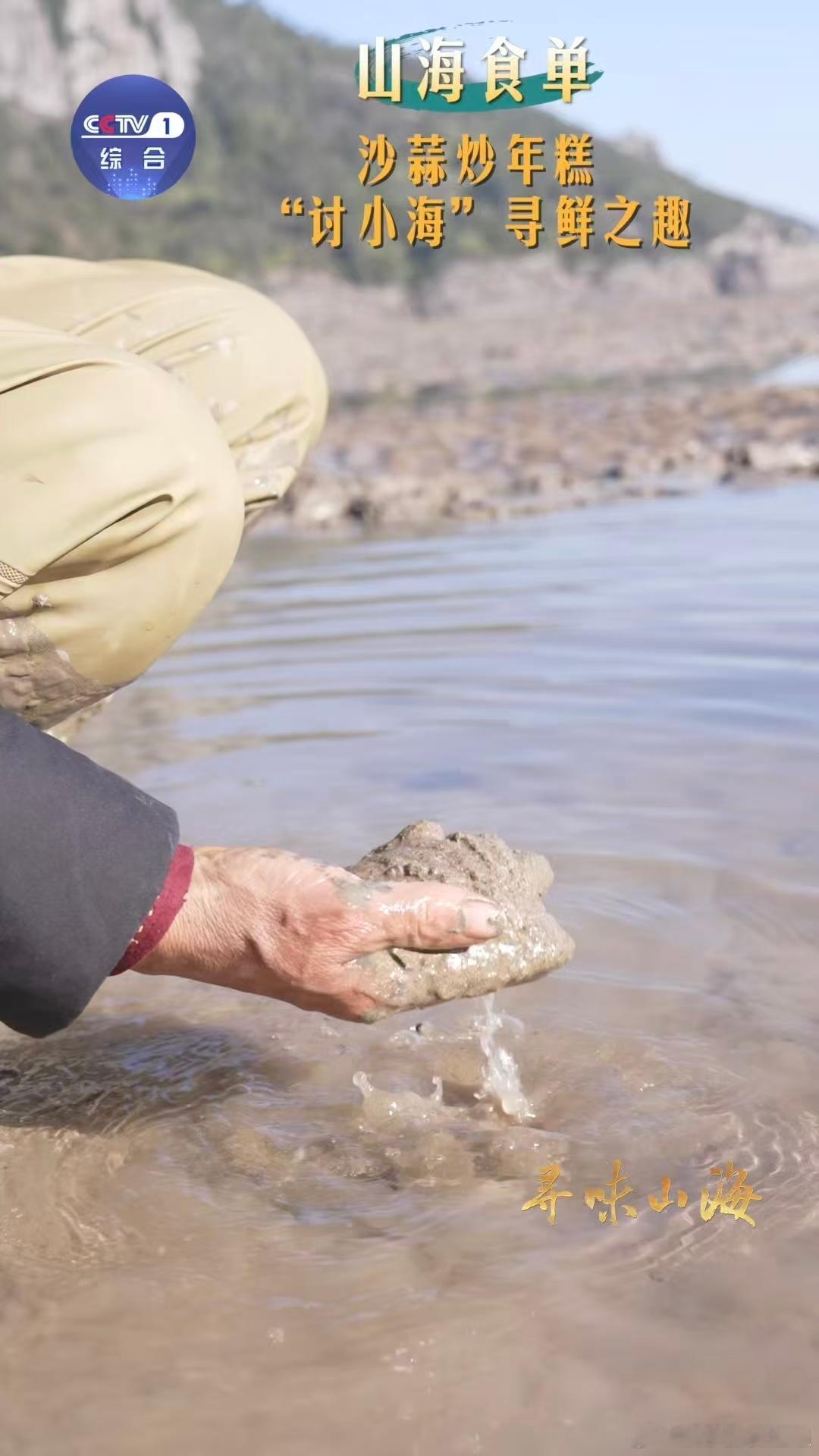 浙江人才懂沙蒜炒年糕的含金量在滩涂里挖出来的胖墩墩沙蒜，和糯而不粘的年糕一起炒