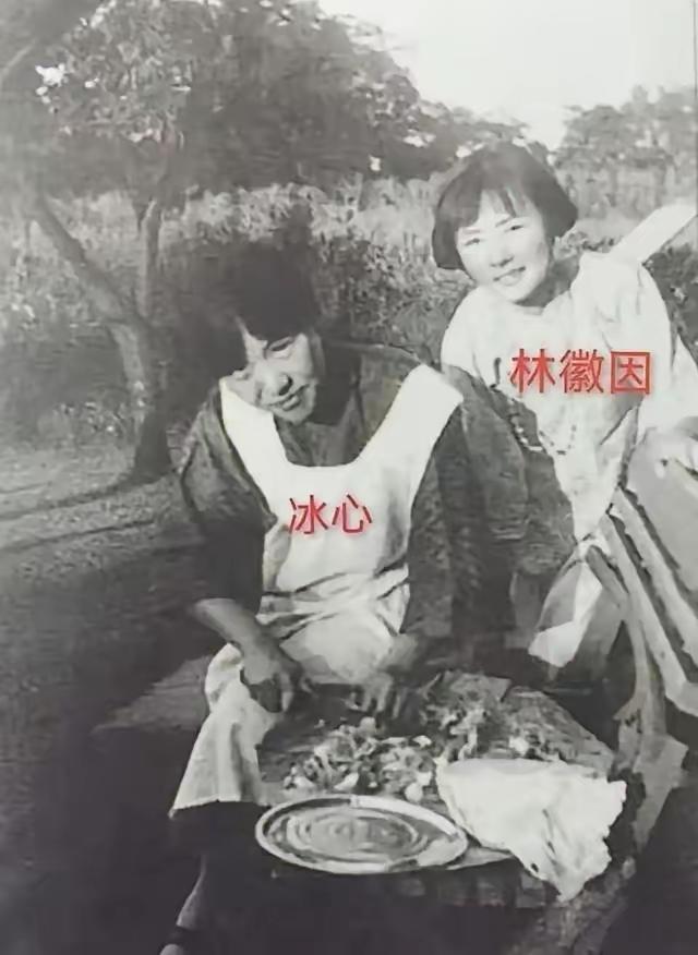 王铎：林徽因与冰心诸位，这是上世纪三十年代的冰心与林徽因。两个人原本交好，后