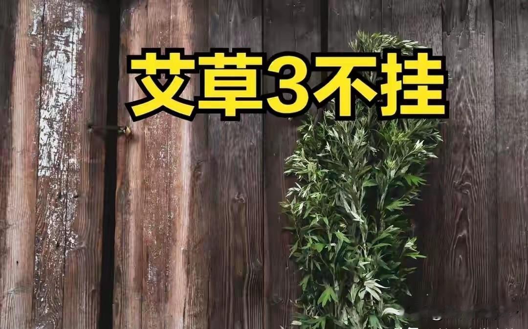 今年端午是“凶日”？老人说“艾草3不挂”，老传统规矩别乱破端午挂艾草，是刻