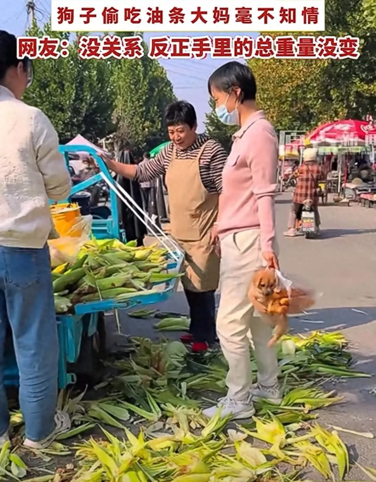 山东大妈赶集拎袋油条，狗在袋里偷吃一路，网友：总重量没变赶集的人手上拎着东西，眼睛还得盯着摊子上的货
