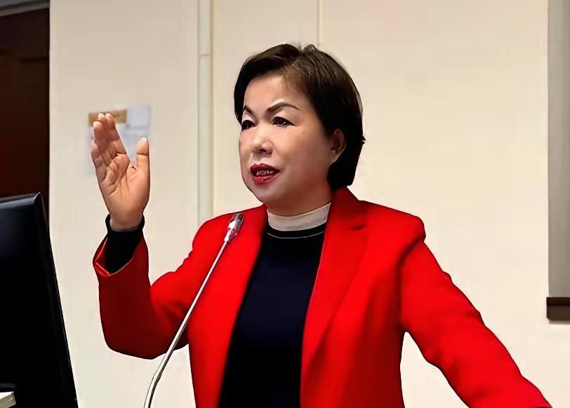 看了国民党今天的协调结果，直接给我整无语了。江启臣和杨琼璎，就为个初选方式僵