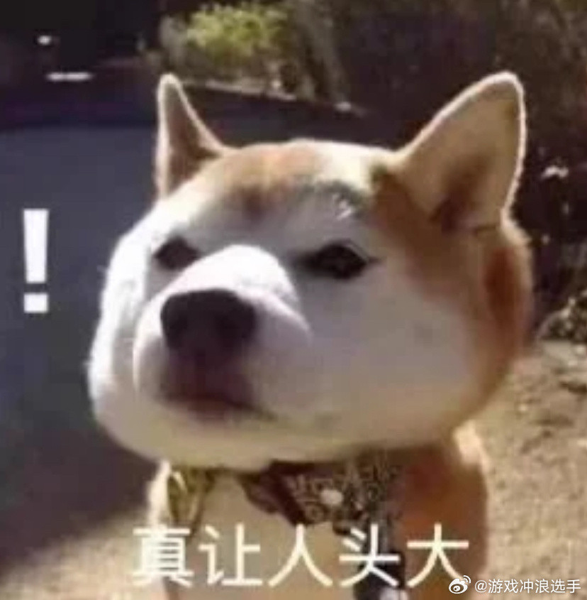 蒙淇淇你怎么说得出口当年莫离传出白鹿要演的时候距离开机还有很久，经常有瓜主说莫