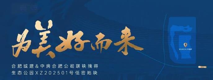 合肥二手房为什么难卖。因为有各种新房，不断的卖地。合肥新站区生态公园地块拍卖了