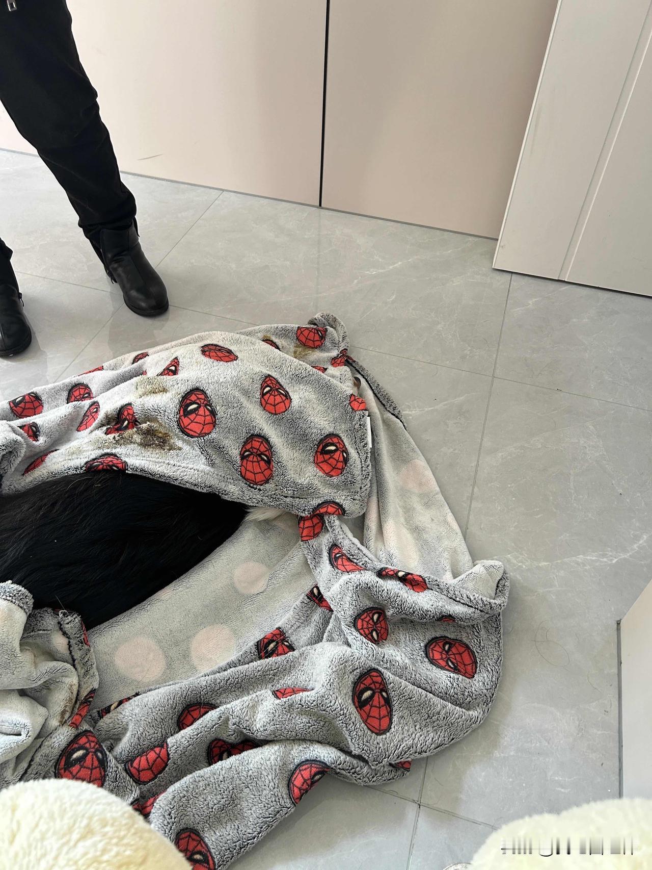 狗狗发狂咬人后续来了下午已经去医院检查过了，不是狂犬病，不是狂犬病，不是狂犬病