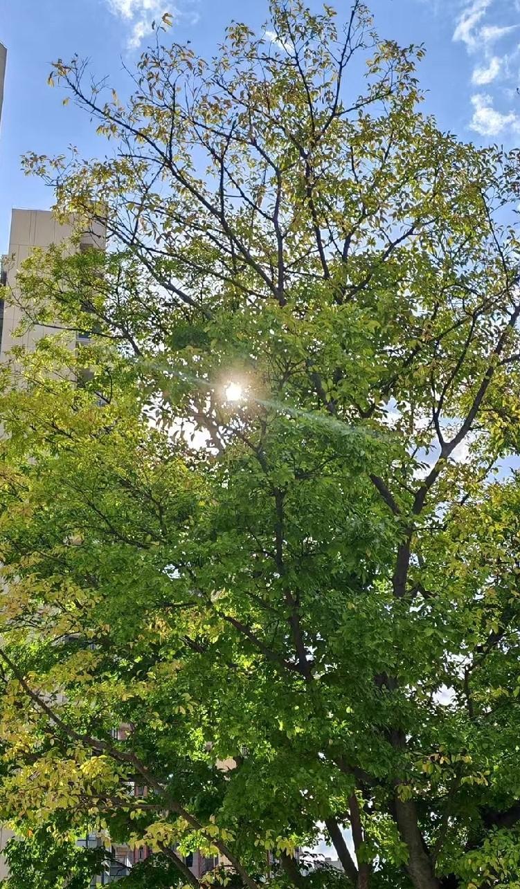 上次评论区的许多友友给的建议，我思考了一下，觉得很对。任何感情都需要双向奔赴，