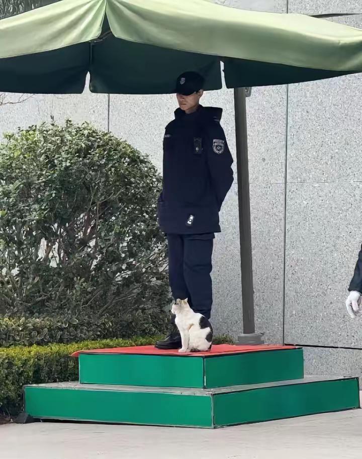 我特别欣赏邻居的儿子，一个普通二本的毕业生，投了上百份简历都石沉大海，但他没有在