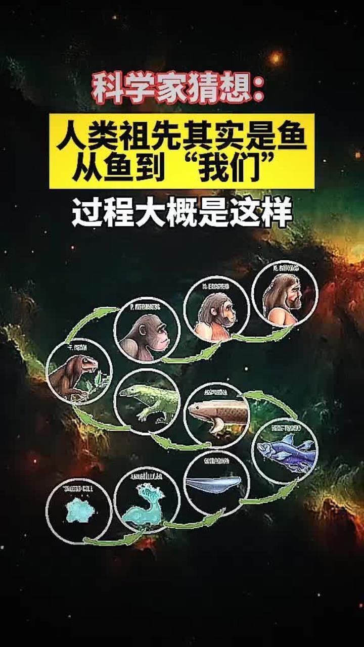 从鱼到人：藏在你身体里的身世之谜，看完颠覆认知你以为人类的祖先是猿？大错特错
