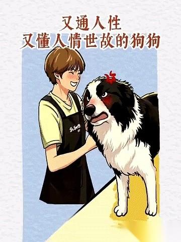 把狗子扔宠物店，自己跑去吃饭。回来那一瞬间，大戏开场。对着亲妈（主人）就是一