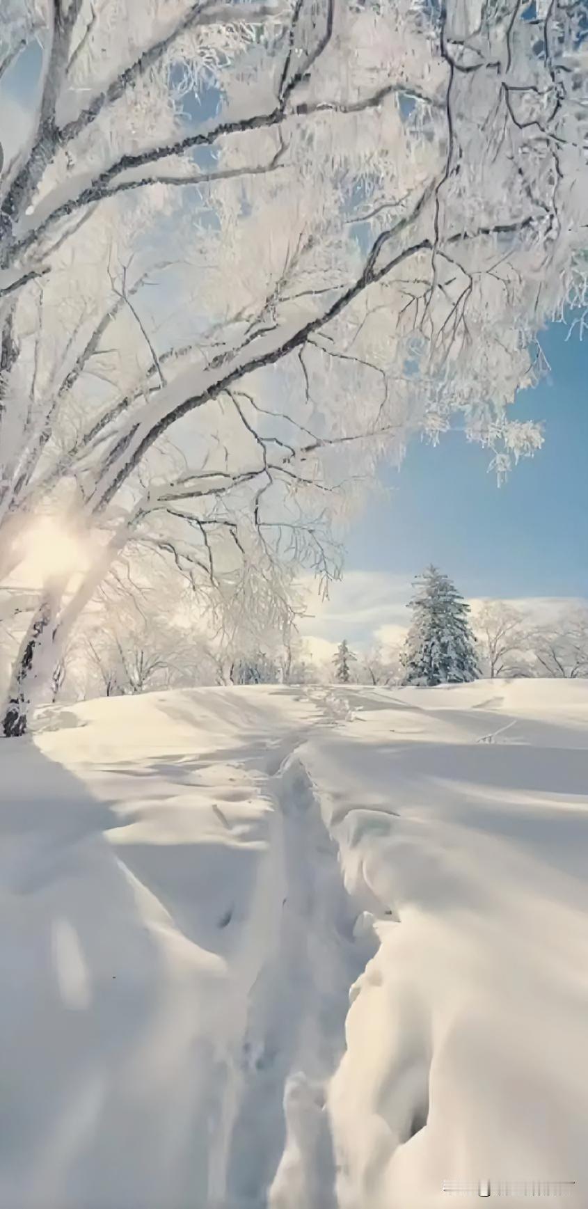 今日大雪节气，无锡依旧不见雪影……去年落空的期盼，今年大概率又要遗憾收场