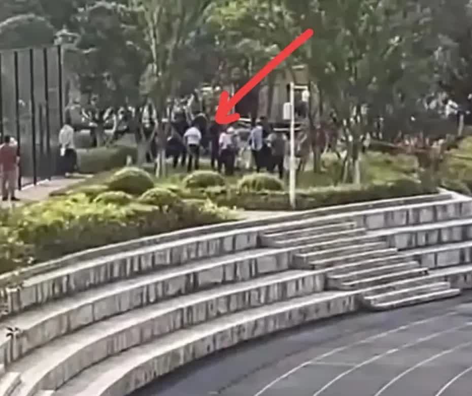 重庆一大学生掉进化粪池身亡，网友曝出更多细节：1.掉进去的是一名男生，2