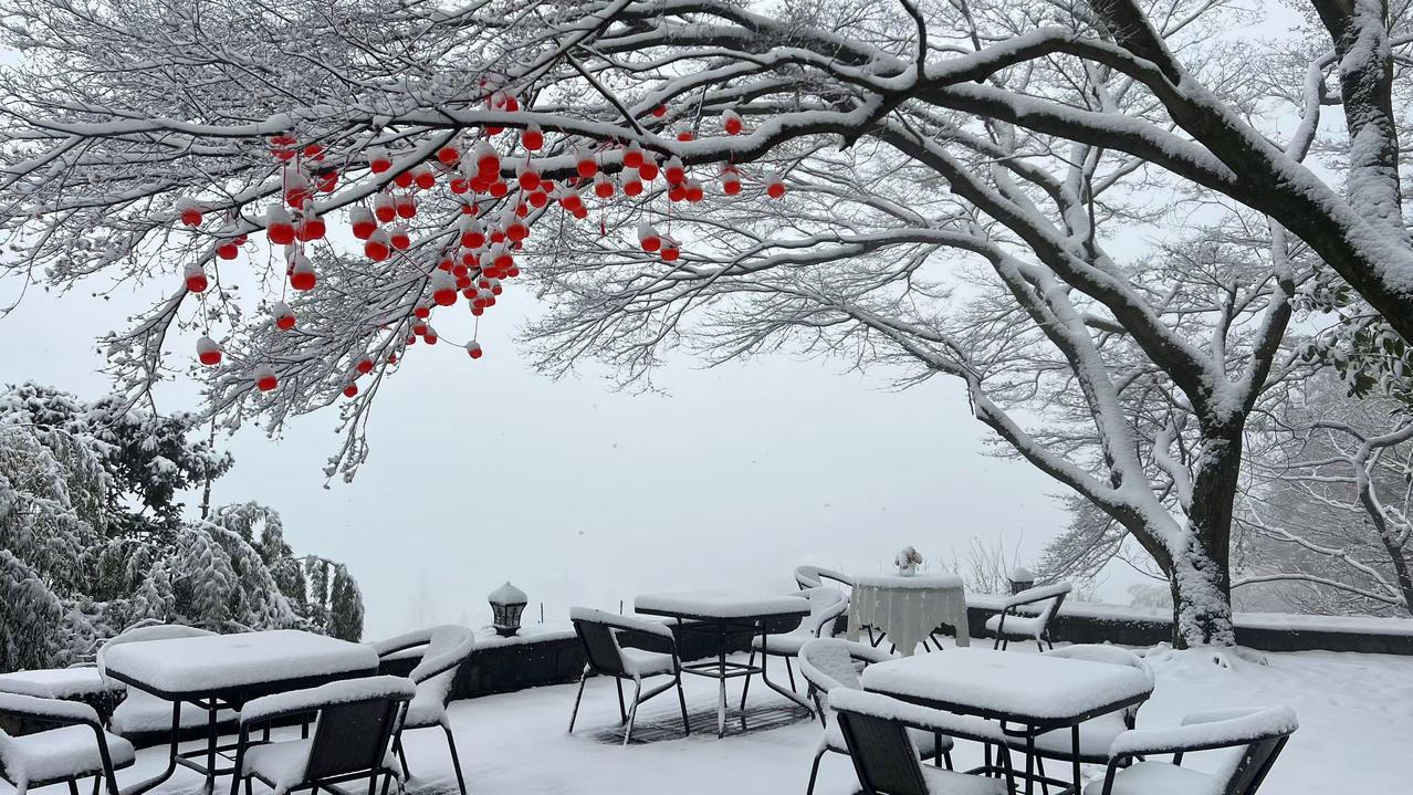 2026新年第一天，莫干山上迎来第一场雪。静逸别墅前的红枫最后几片枫叶在雪中格