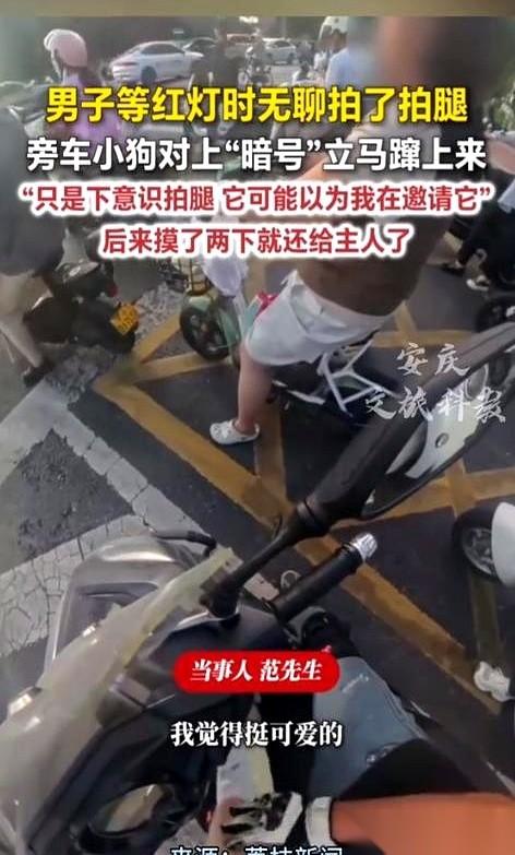 真绝了，你敢信？大马路十字路口等红灯，你随手拍了一下自己的大腿。“嗖”的一声