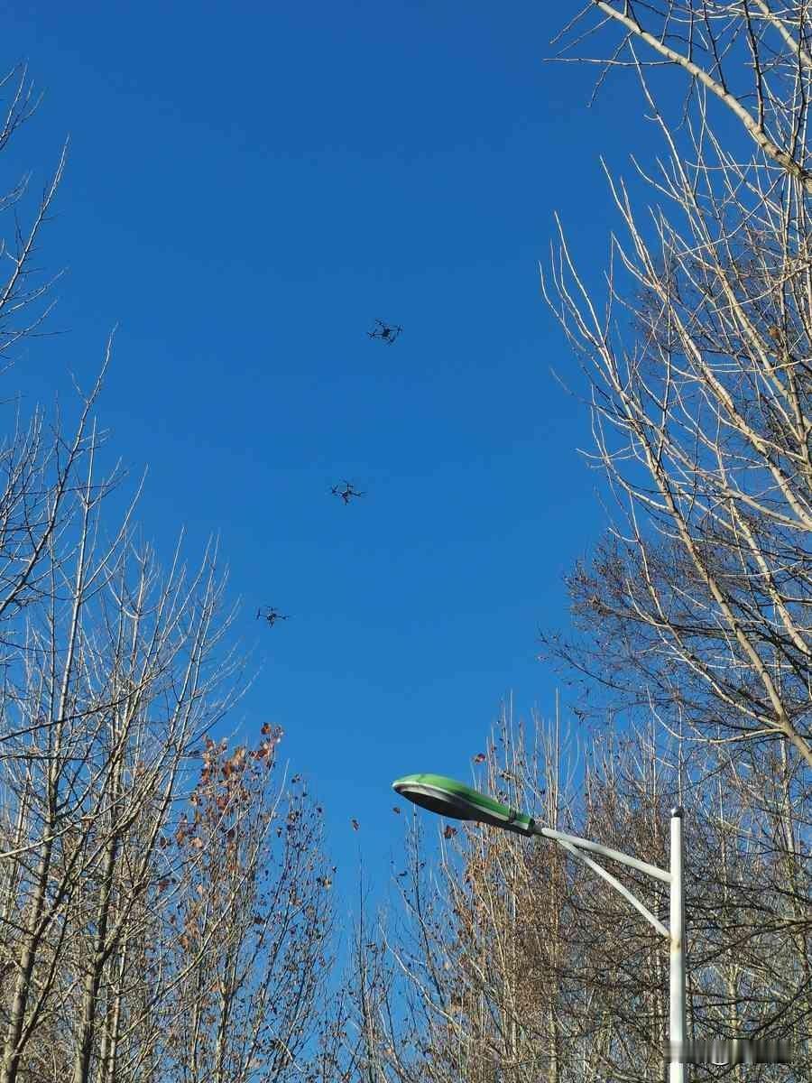 甲流年年变异，今年连特效药都快跟不上了。我们还在到处找“神药”救命，有人却悄