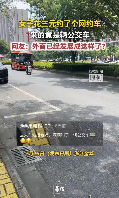真该考虑全国推广！浙江金华一名女子去火车站接母亲，竟通过手机预约到一辆公交车，3