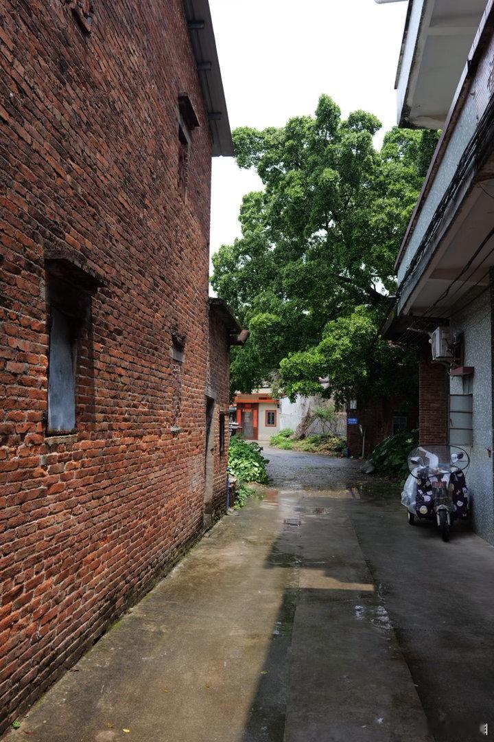 节日快乐，五一节日快乐，献上增城土江村的风土人情乡村跑乡村摄影人文街头漫拍松下