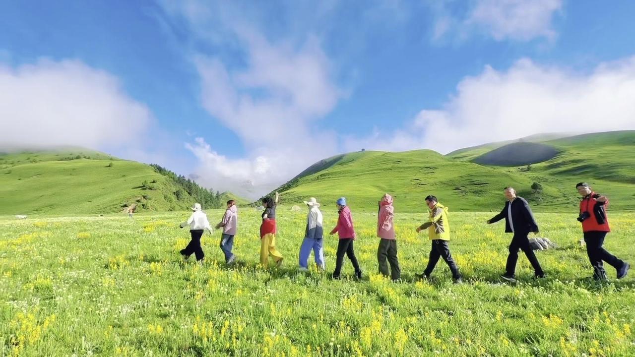 站在格聂雪山南坡，风从山巅带来亘古的凉意，却在这一刻温柔地俯身，亲吻了脚下的草地