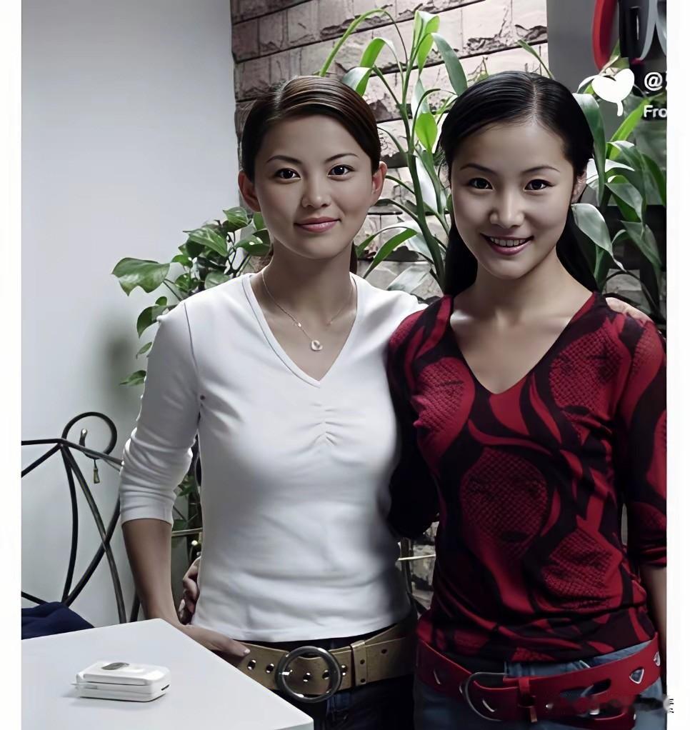 一个是高知气质型顶级美女，一个是普通美女，中间差了不止十万八千里。李湘