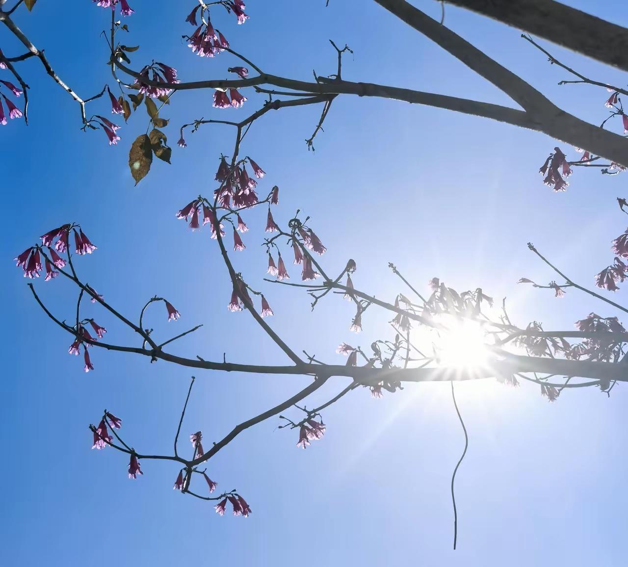 公积金对打工人来说，简直是藏起来的宝贝！不少人总觉得每个月被扣掉的那点钱肉疼，可