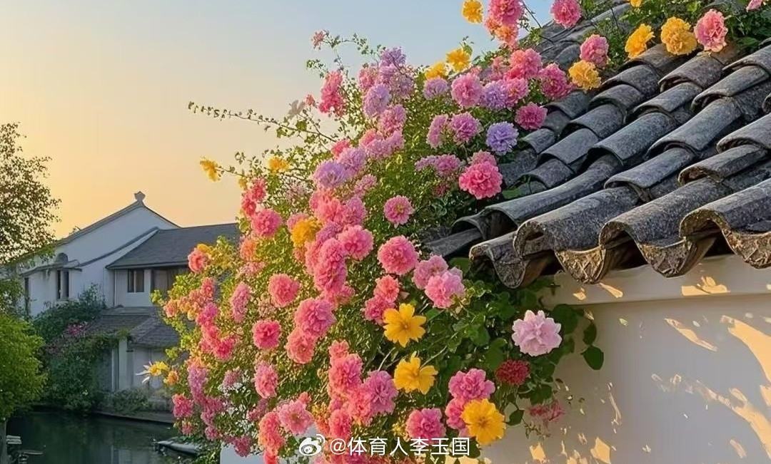 没有突如其来的幸运，只有日复一日的认真。时间不会为谁停留，但努力能让时间一路生花