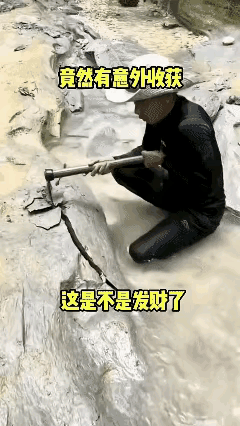 这黄东西是什么？