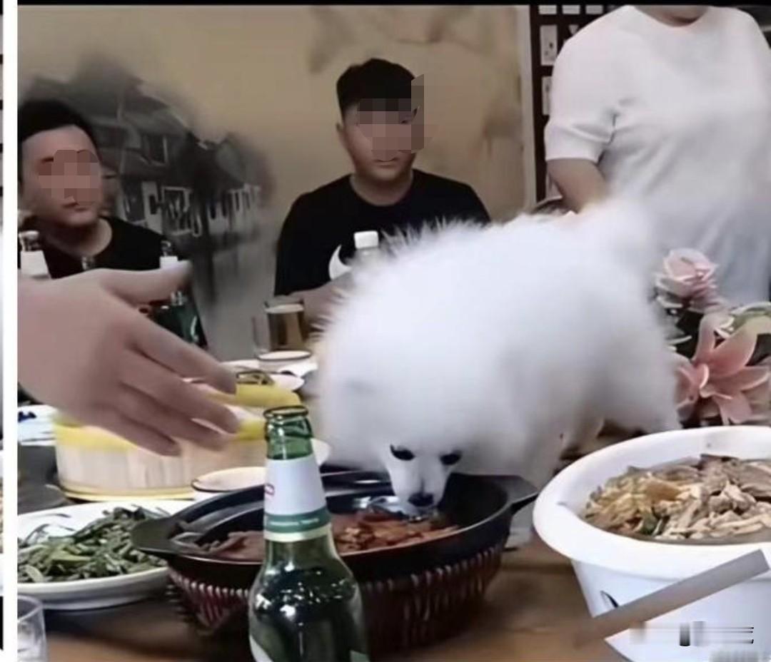 要是你朋友请你吃饭，结果这样做，你会怎么做？
