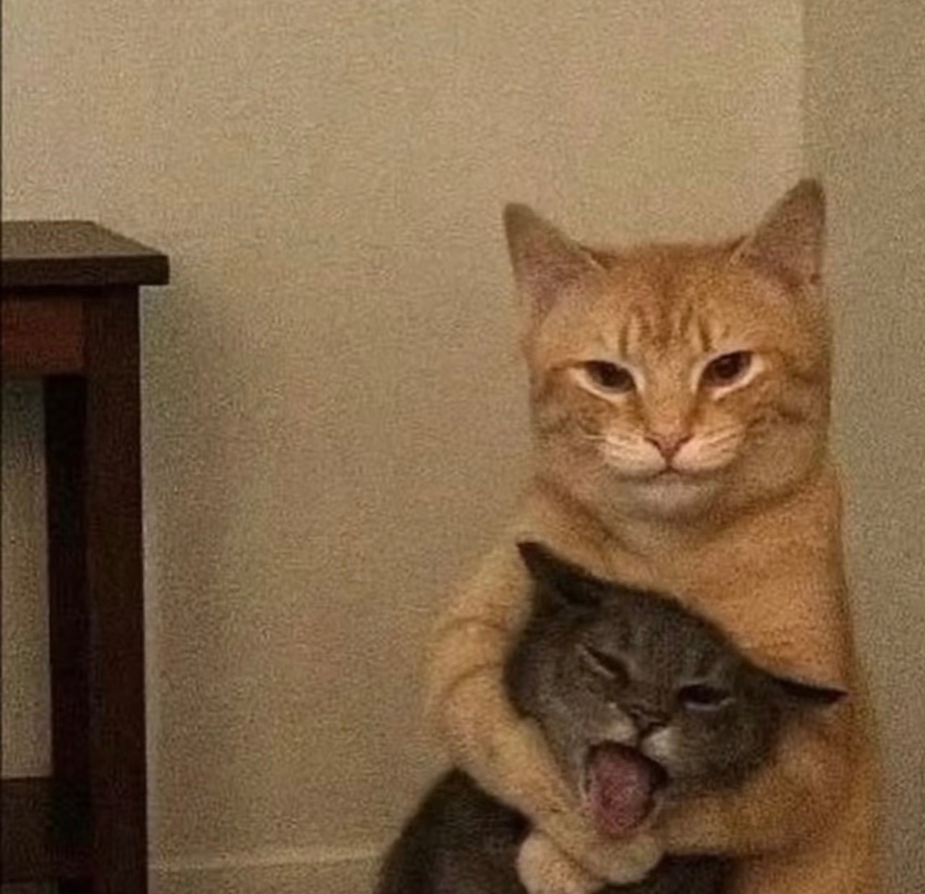 天天就这么嬉皮笑脸