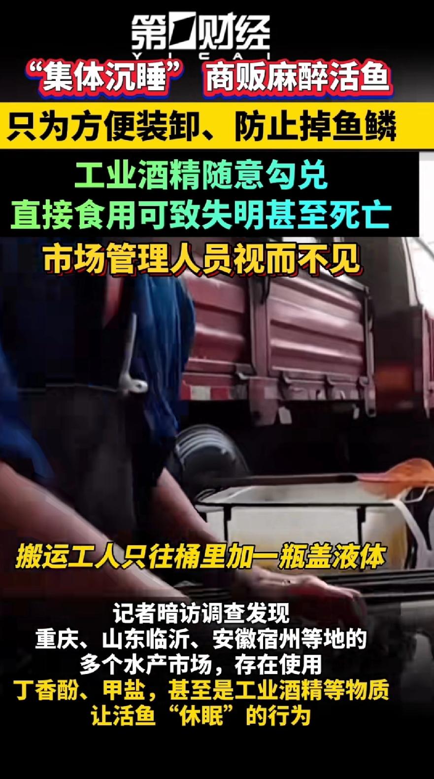 商贩麻醉活鱼，搬运工只往里面加一瓶盖液体，活蹦乱跳的鱼儿就会“集体沉睡”，而商贩