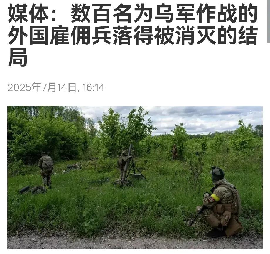 【不留活口】据俄罗斯卫星通讯社7月14日援引西班牙媒体的报道，数百名外国雇佣兵