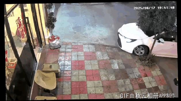 纸糊的汽车，铁打的树，游戏照进现实[捂脸哭]