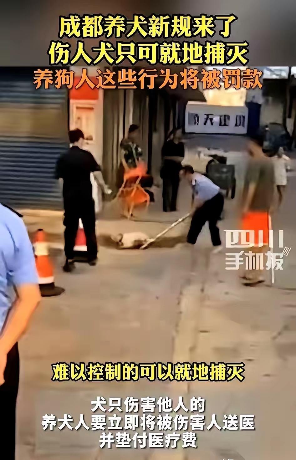 成都养犬新规，一条直接把人干懵：你的狗咬了人，甭管是不是对方先招惹的，你，必须第