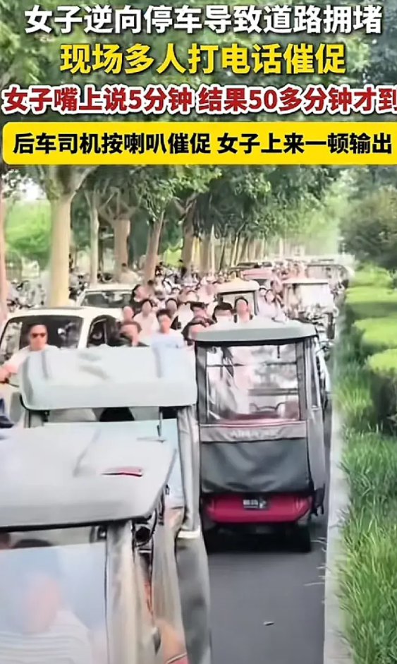 女子逆行将汽车停在路上，致使交通堵塞。第一辆车的司机不断拨打女子的电话，女子首次